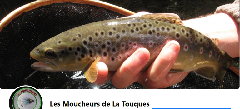 les moucheurs de la touques