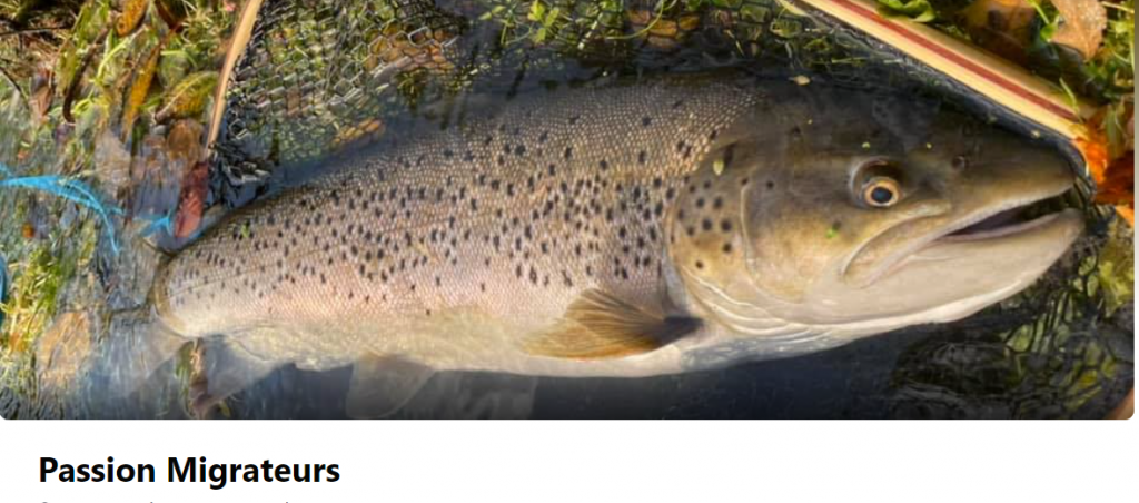 passion migrateur